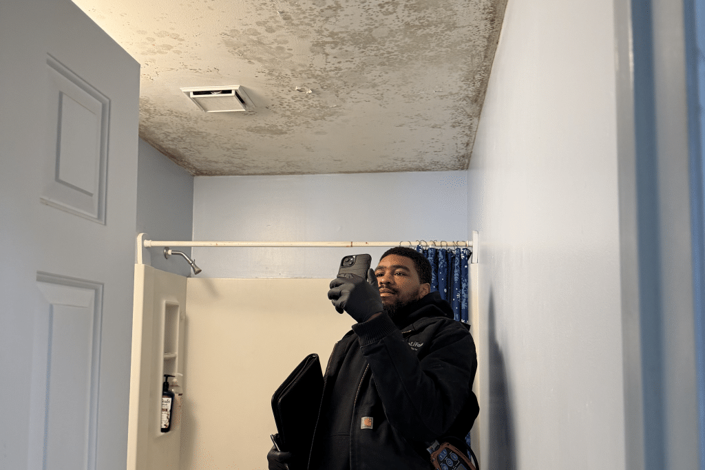GreenLife auditor detecting mold