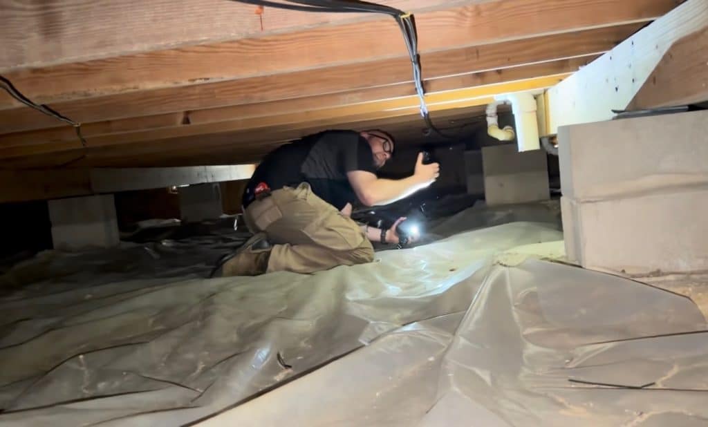 Auditor in a crawl space